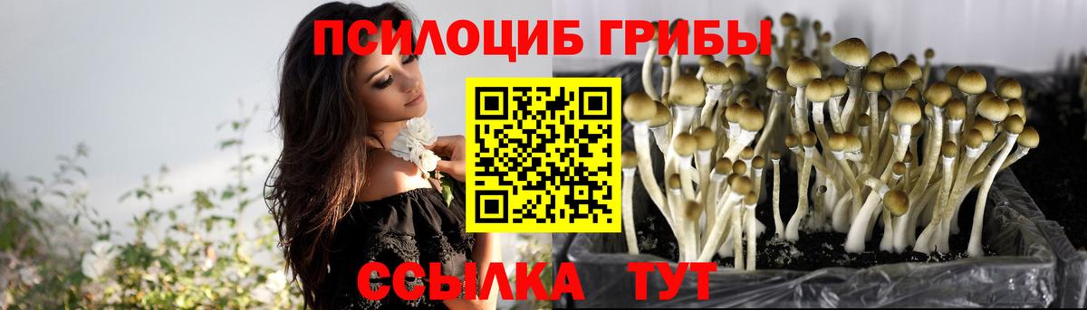 Галлюциногенные грибы прущие грибы  Псилоцибиновые грибы Psilocybine cubensis  Вход с VPN  Ярцево 